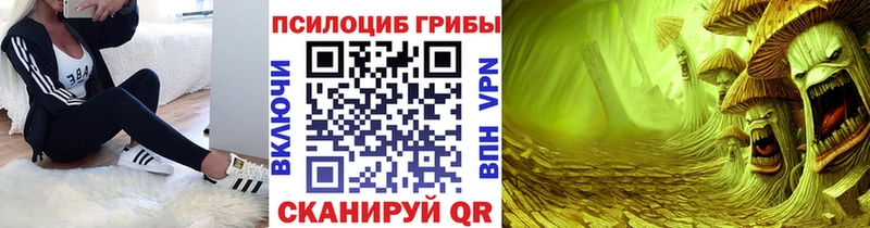 Купить  Сычёвка  Галлюциногенные грибы ЛСД 